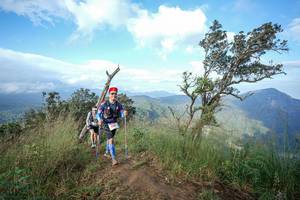 BIB: 
                            <button type="button" onclick="openModal(22373842)" class="btn btn-primary btn-sm float-right btn-popup" data-toggle="modal" data-target=".modal-high-quality">
                        <i class="fas fa-shopping-cart"></i> Add to Cart
                    </button>
                                            <button type="button" onclick="isThisMe(22373842, true)" class="btn btn-success btn-sm float-right btn-popup btn-isme hidden" data-toggle="tooltip" data-placement="bottom" title="นี่คือรูปของคุณใช่ไหม คลิกที่นี่เพื่อเอาเข้าอัลบั้ม">
                        <i class="fas fa-plus"></i> Add to album
                    </button>
                    <button type="button" onclick="isThisMe(22373842, false)" class="btn btn-warning btn-sm float-right btn-popup btn-isnotme hidden">
                        <i class="fas fa-ban"></i> Remove from album
                    </button>